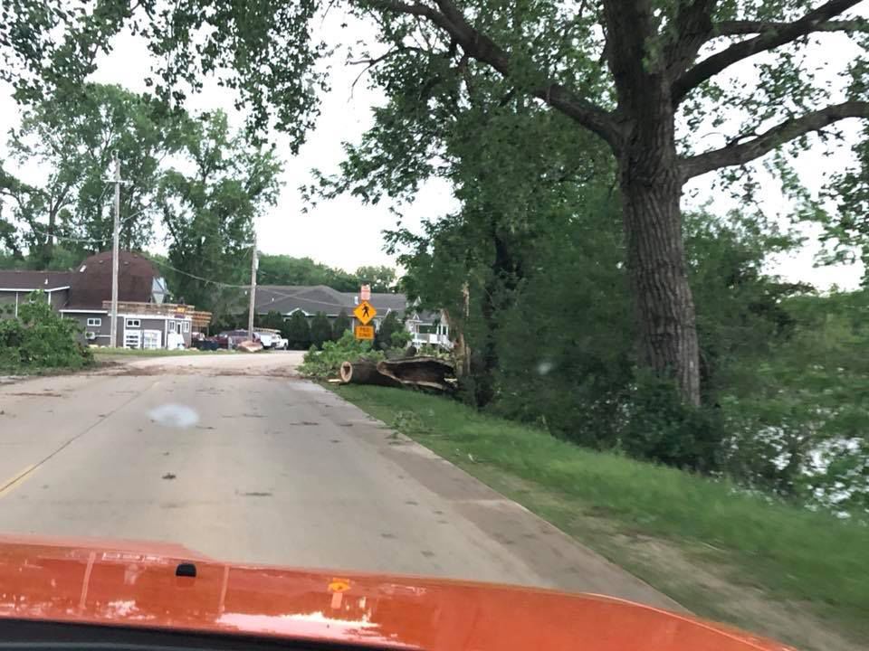 Trees down